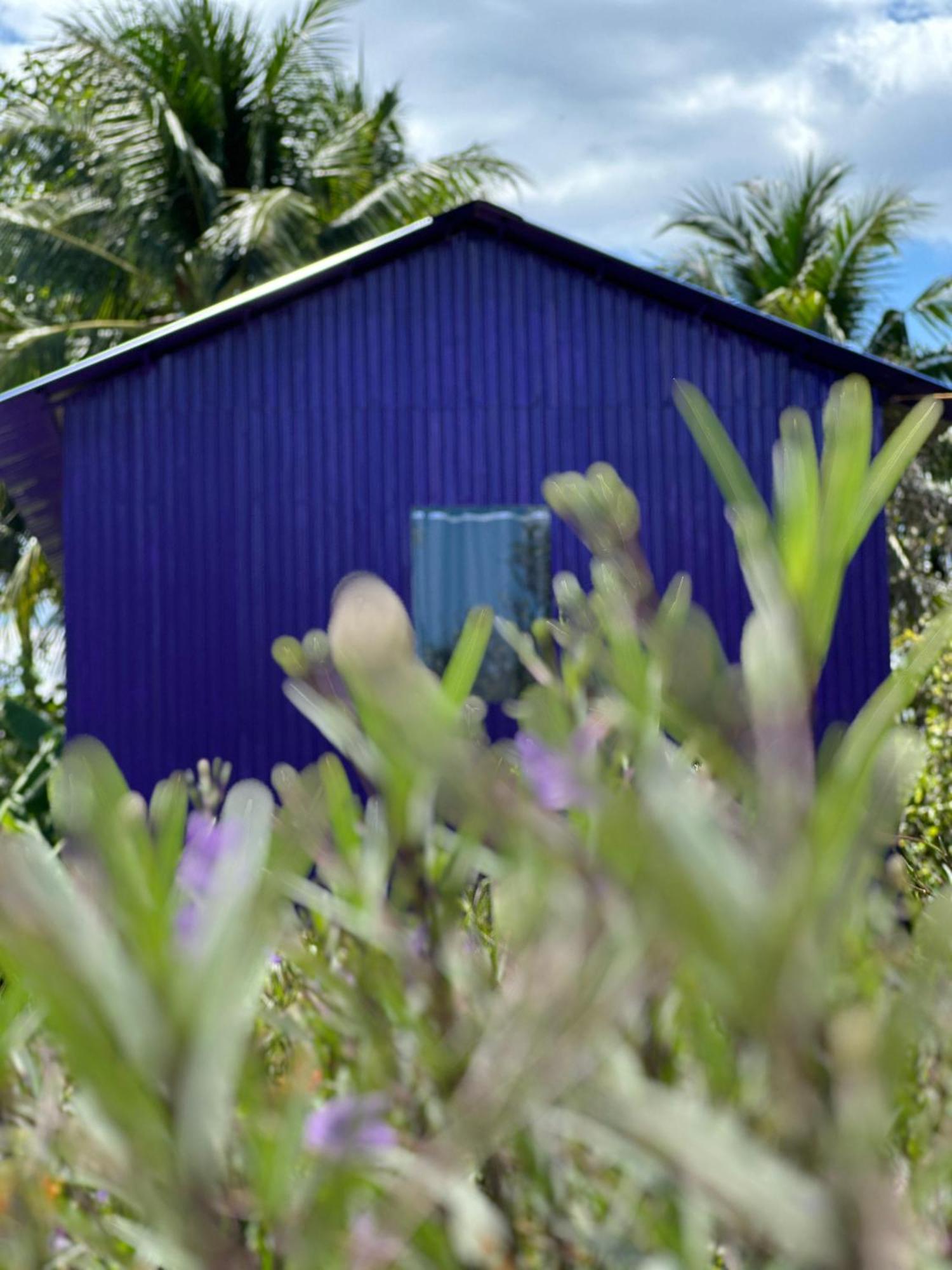 Hide Away Bungalows In Ben Tre City Dış mekan fotoğraf