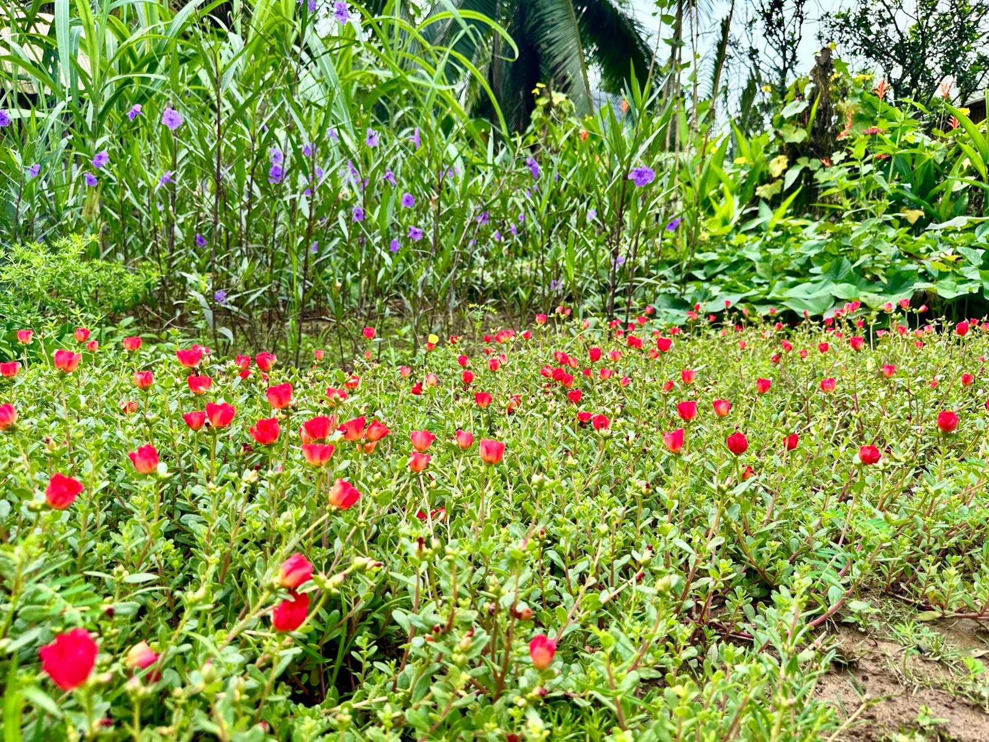 Hide Away Bungalows In Ben Tre City Dış mekan fotoğraf