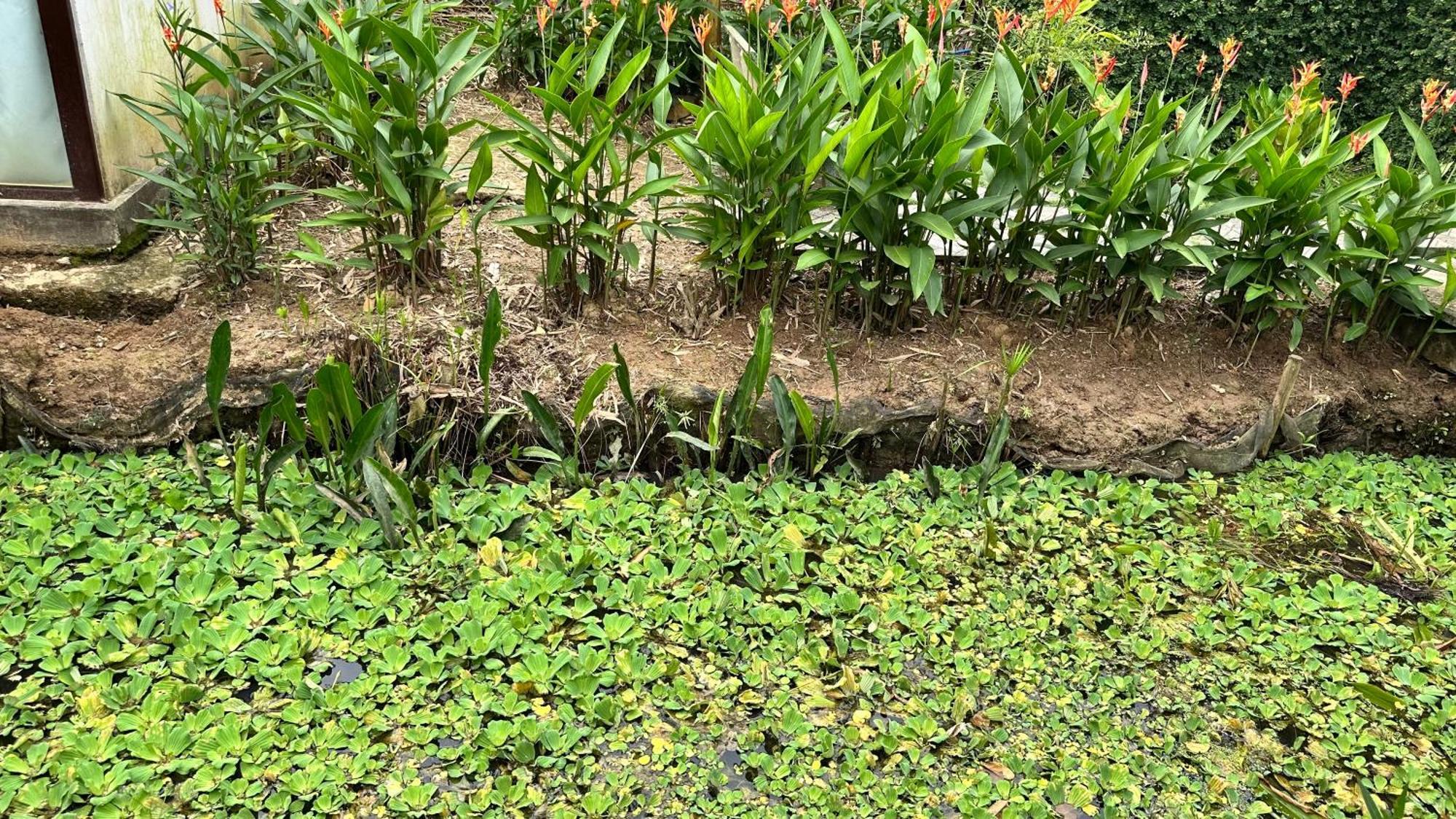 Hide Away Bungalows In Ben Tre City Dış mekan fotoğraf